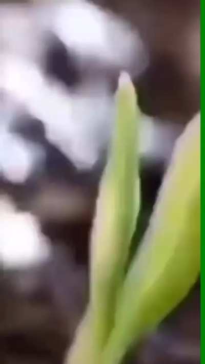 !!!!!!!!!!!!!