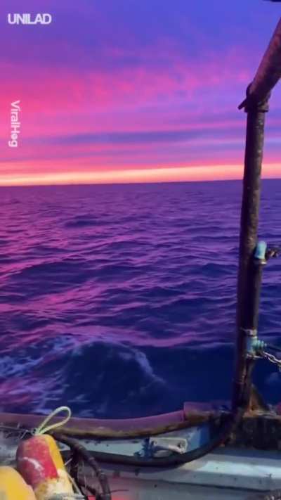 The peaceful ocean reflecting the pink sky