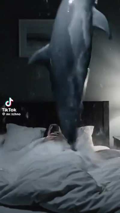 Rave dolphin