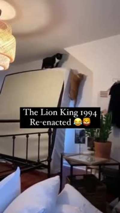 &ldquo;LONG LIVE THE KING&rdquo; 😹