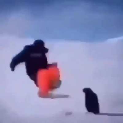 Ok