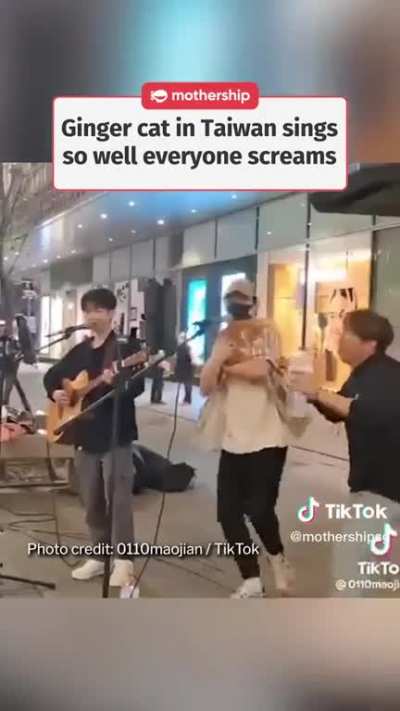 The last meow was just