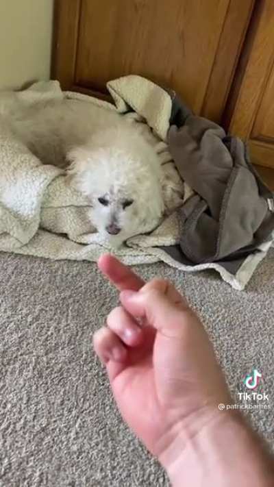 You&rsquo;re about to lose finger privileges