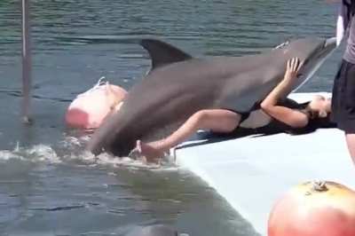 Dolphins are extremely adorable