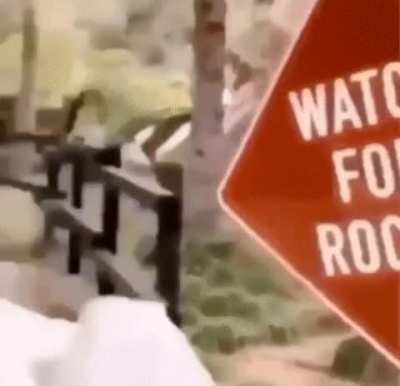 Didn&rsquo;t see that