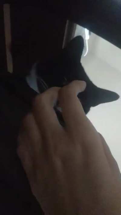 h A
