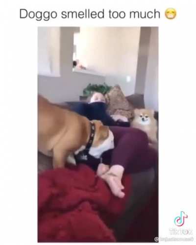 What's happening here