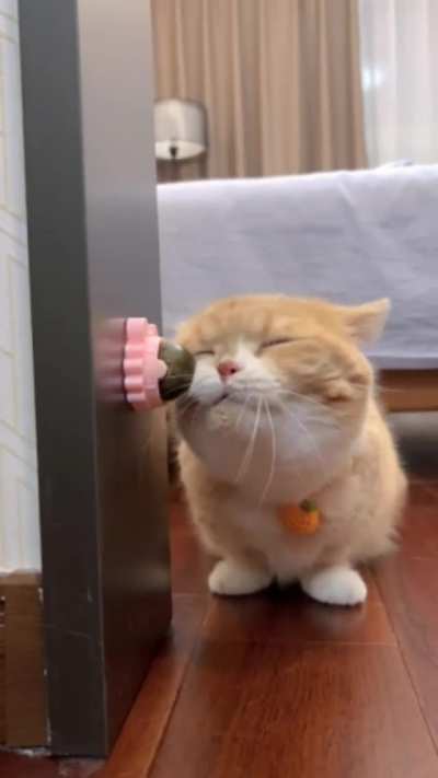 Look At His Face