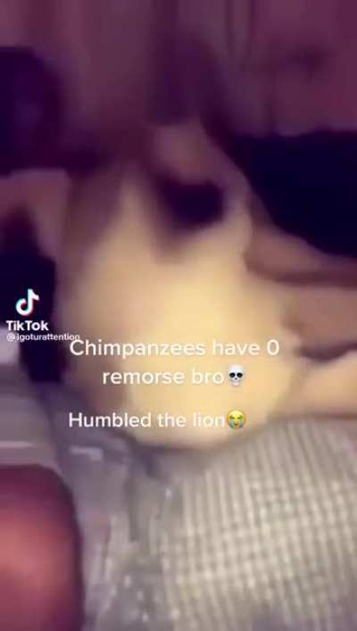 monkey humbled lion