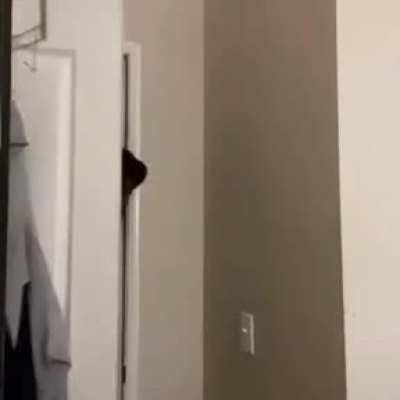 O t&iacute;tulo ta (˵ ͡&deg; ͜ʖ ͡&deg;˵)