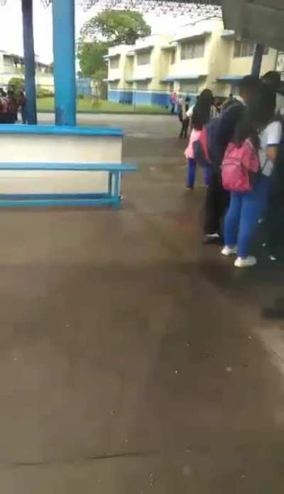 XD