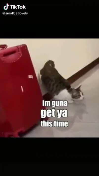 F&amp;amp;*! You-