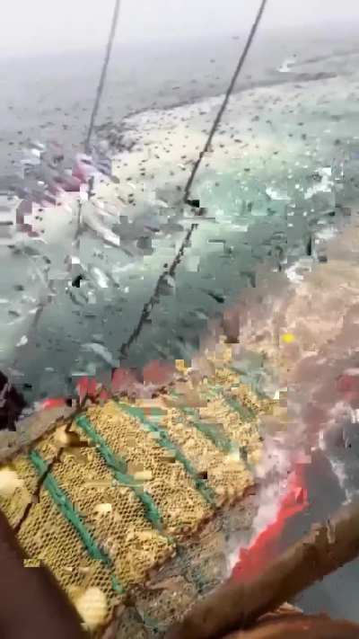 We don’t want this in Canada. Destructive industrial fishing like trawling - one more reason we need a Marine Protected Area Network in BC NOW.
