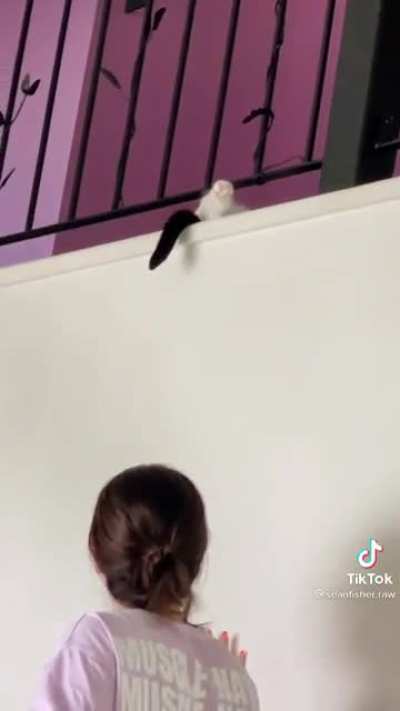 Touching a sleeping cat
