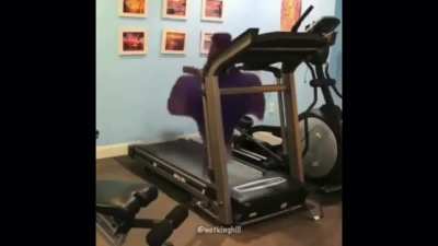 Earl running on a treadmill (Not mine)