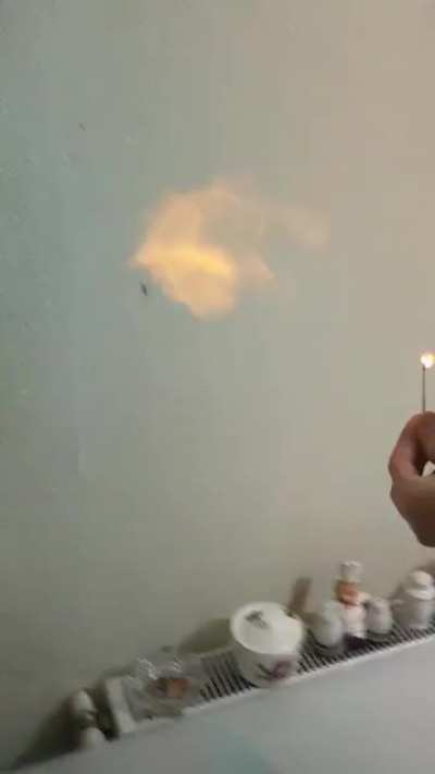 Must burn them all