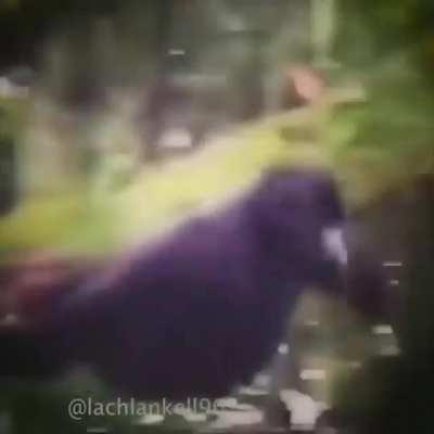 Epic anime