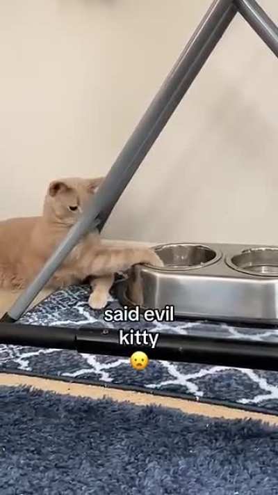 What is the name of the piano backround music playing in this meme?