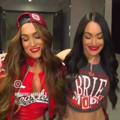 The Bella Twins