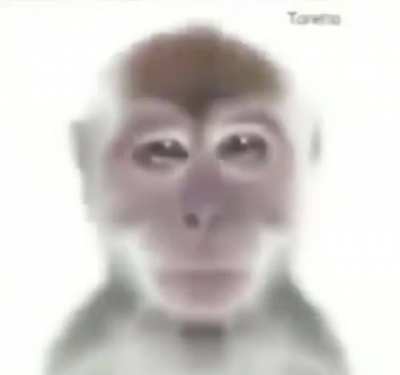 Wa wa waa