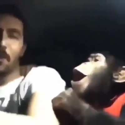 Monke