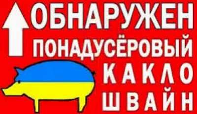 Украина 🤢