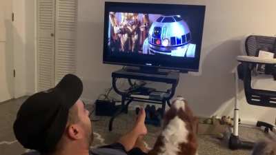 My dog only barks at R2D2