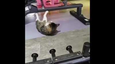 Catisthenics&hellip;
