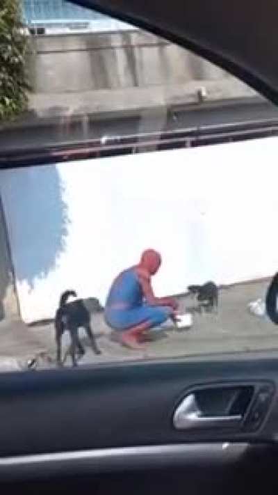 Spider man is just so amazing 😊