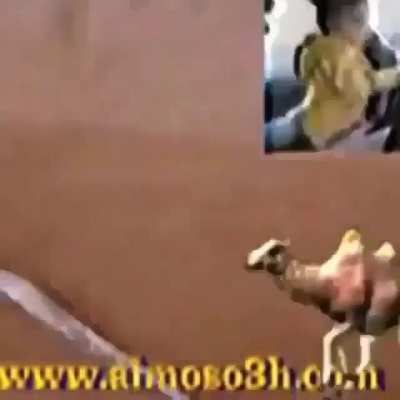 Very funny