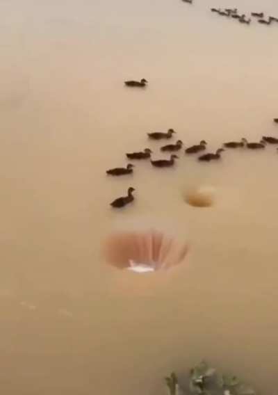 Try not to get sucked in