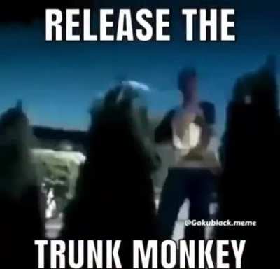 Hoonga Goonga Moonga Monkey Awoo
