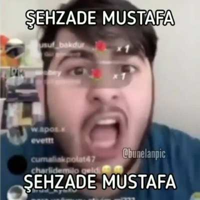 G&ouml;r&uuml;ş&uuml;r&uuml;z şehzadem
