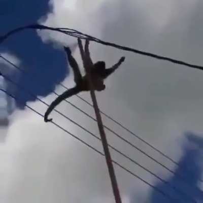 Brasil