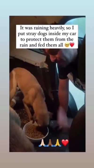Simple things can make the world a better place