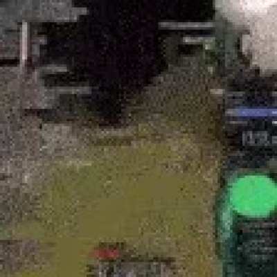 forsen2038