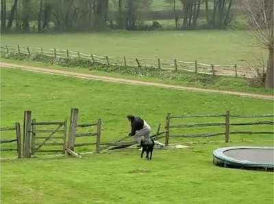What is it with us guys and trampolines, lmao?