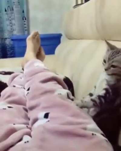 Отрабатывает ренту