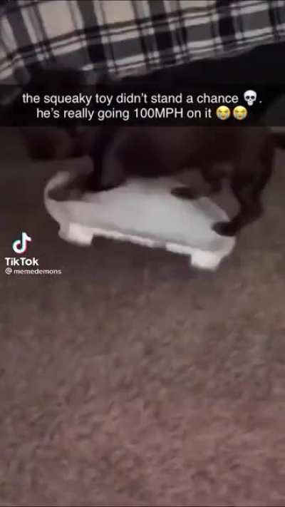 Going for the world record