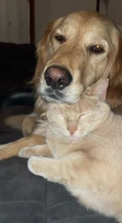 Gunner and Pebbles