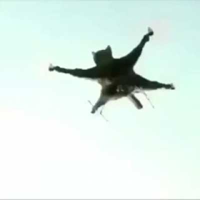 Catcopter