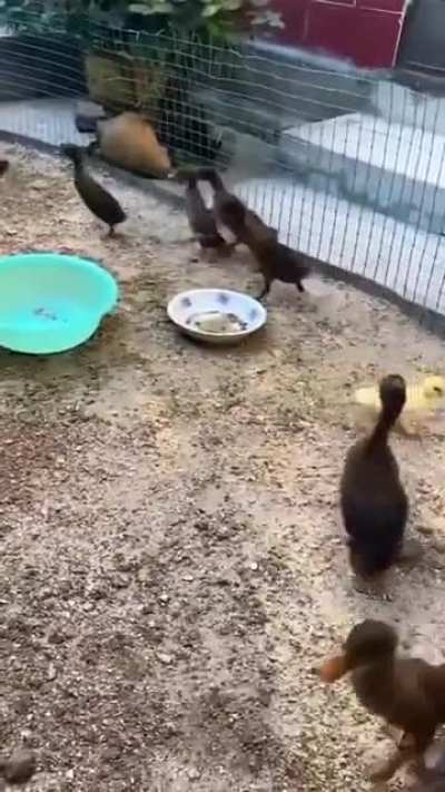 "Yıkık" flairli birini g&ouml;r&uuml;nce aklımda b&ouml;yle bir şey canlanıyor 😔😔😔