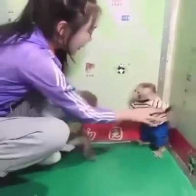 Luangameplay666 - Video #1875