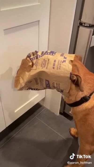 Welp, I&rsquo;ve got my treat. Nothing else I can do here.