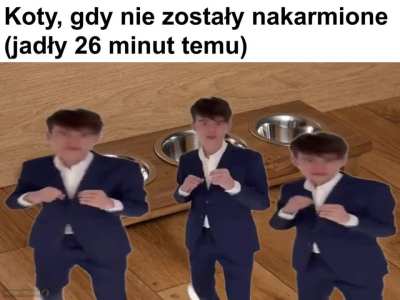 Polska_wpz