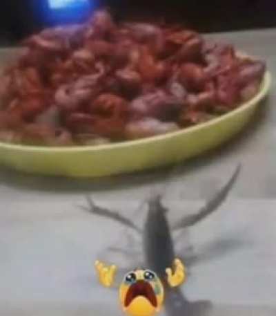 Noooo!!!!