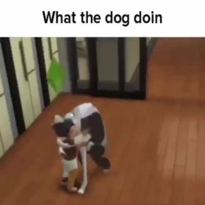 Cursed_sims