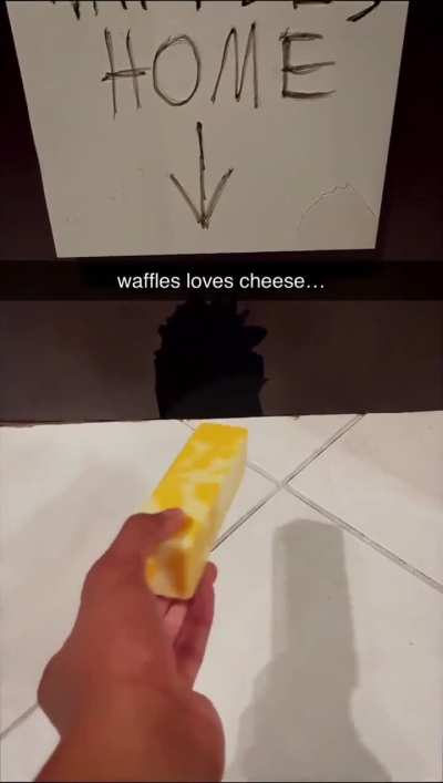 Mirror Reaper Loves Cheese...