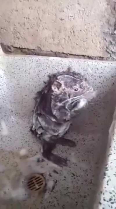 hmmm