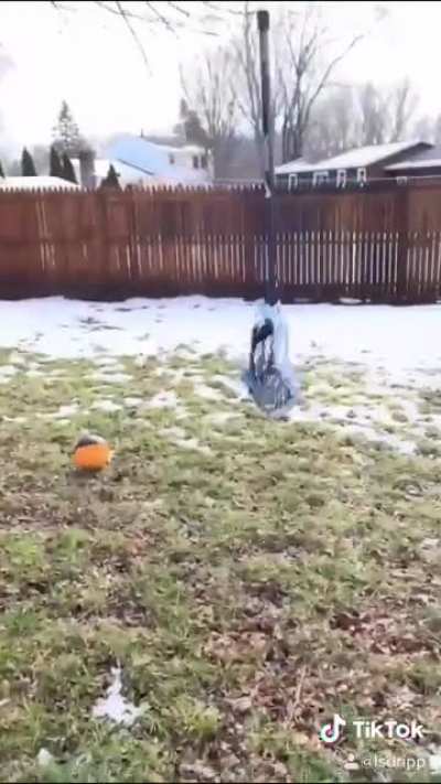 Viral trippy video from TikTok